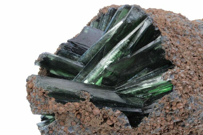 Emerald-Green Vivianite Crystals in Phosphatic Nodule - Brazil #218181